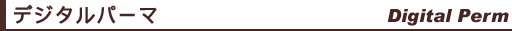 デジタルパーマメニュー